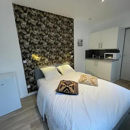 Ng Suitehome - Lille I I Gare I Metro Alsace - Netflix - Wifi Appartement *