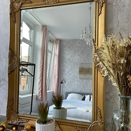 Ng Suitehome - Lille I I Gare I Metro Alsace - Netflix - Wifi Roubaix